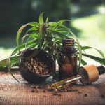 best-cbd-oil-review