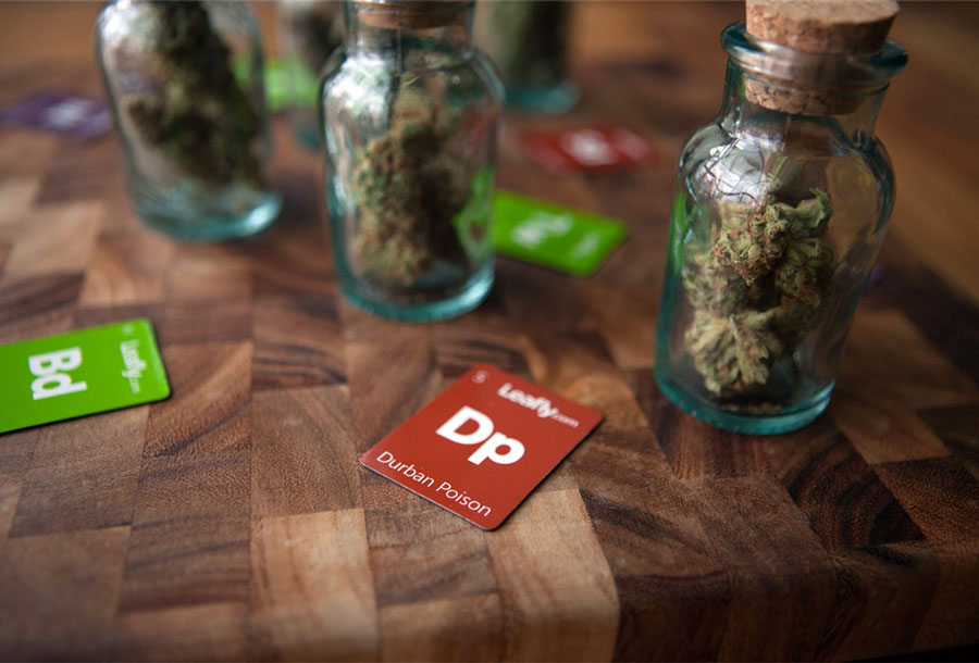 cannabis-gateway-drug-cbd