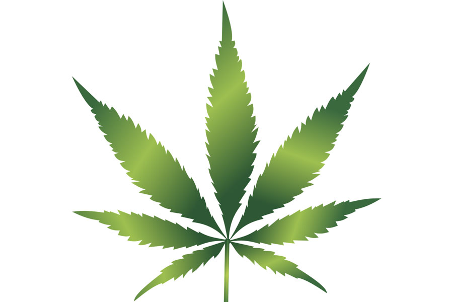 cbd-product-announcements
