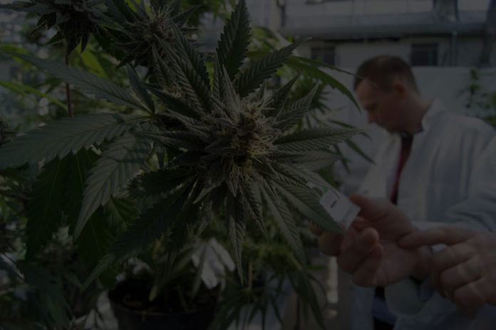 doctor-hemp-cbd-lab