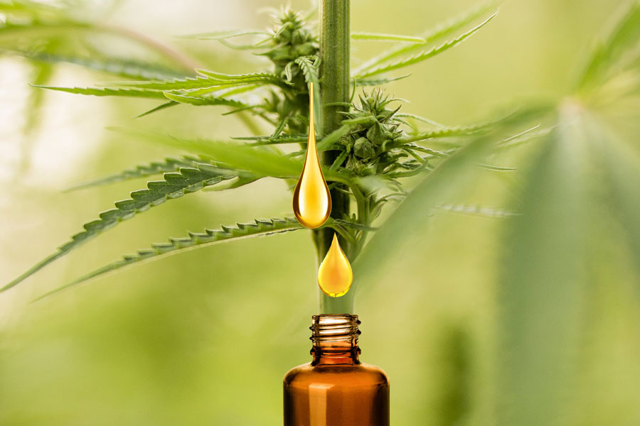 level-select-cbd-sports-cream-products-company