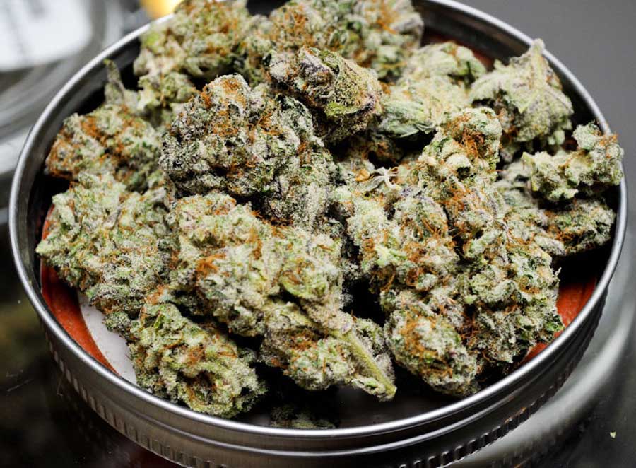 marijuana-research-health