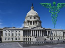 Senate-Approved Bill: Medical Marijuana State Laws Are Now Protected from Federal Intervention