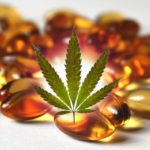 Top 20 Best CBD Softgel Capsules in 2020