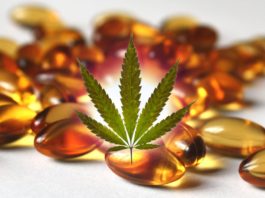 Top 20 Best CBD Softgel Capsules in 2020
