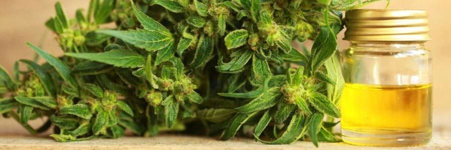 cannabidiol-infused-skin-care-guide