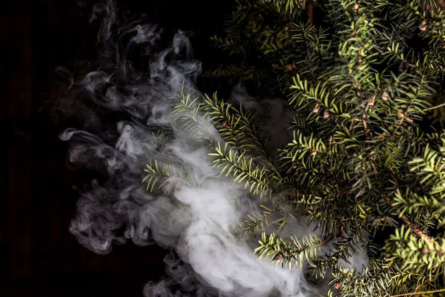 cannabis-vaping-illegal-thc-websites