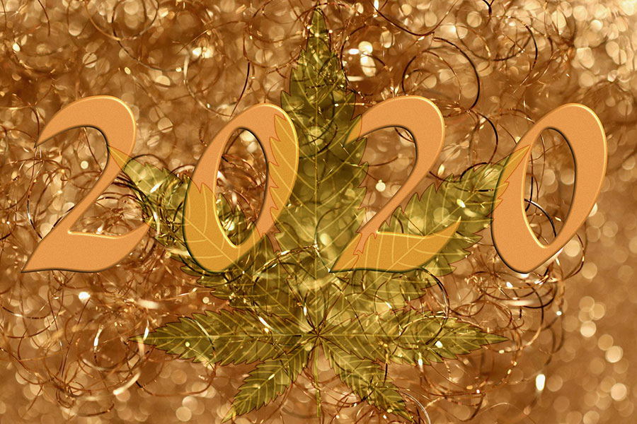 cbd-2020-cannabidiol-outlook