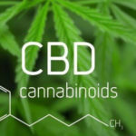 what-is-cbd-skincare