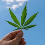 Benefits-of-Cannabis
