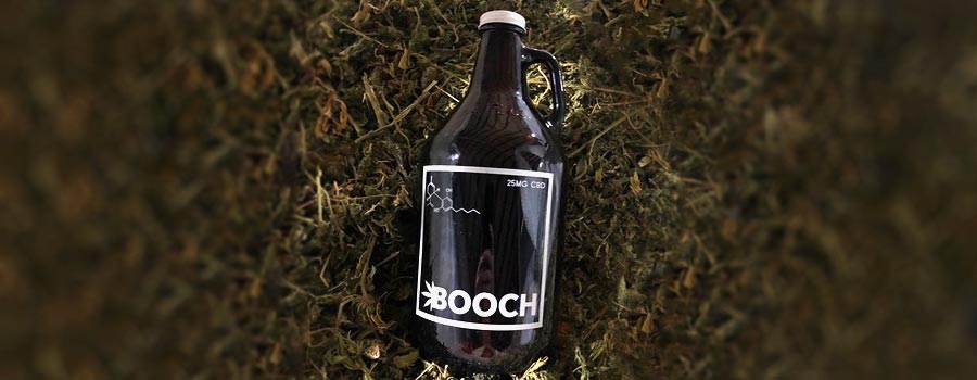 Booch CBD Kombucha