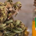 CBD-Healing-Co-Contact