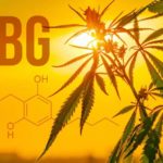 CBG review guide