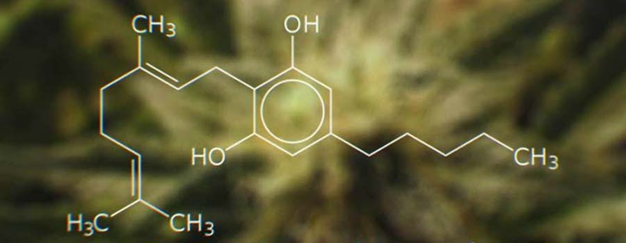Effects of CBG