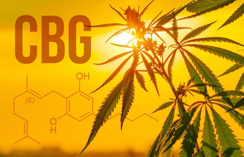 CBG guide