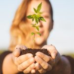 Cannabis-Health-and-Wellness
