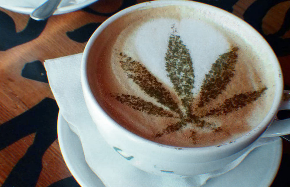 best CBD coffees