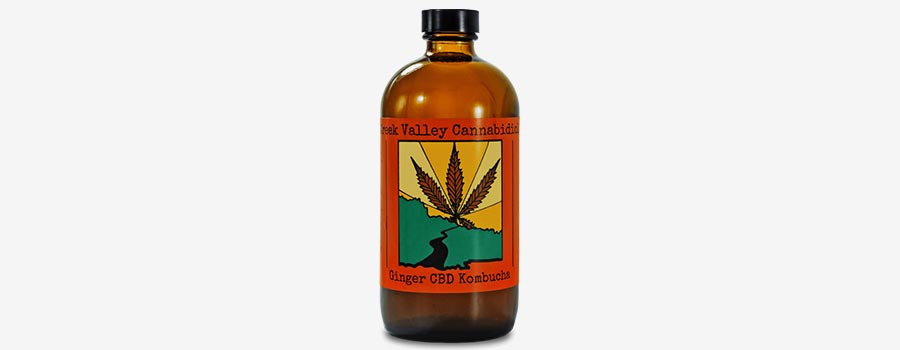 Creek Valley Cannabidiol Ginger CBD Kombucha