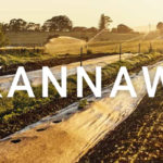 KANNAWAY