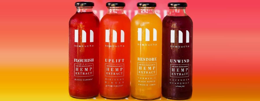 M Kombucha