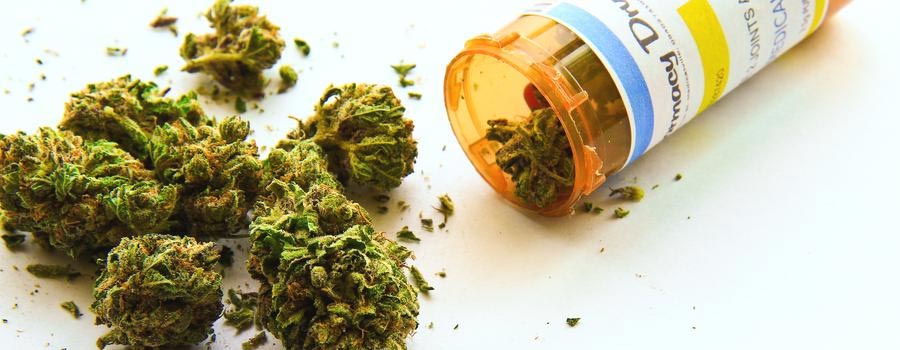 Medical Marijuana Could Be an Alternative to Opioids and Painkillers