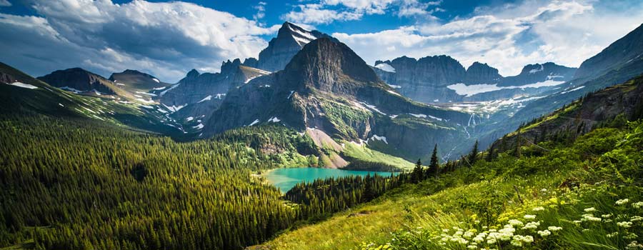 montana marijuana legalization