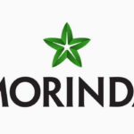 Morinda