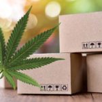 Subscription-Boxes