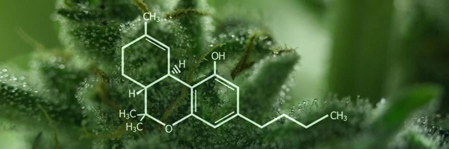 THC (Tetrahydrocannabinol)