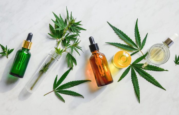 Top 20 CBD Brands (2020 Guide)