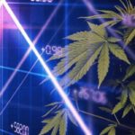 Top-Marijuana-Stocks