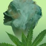 What-Happens-When-Cannabis-Enters-Your-Body