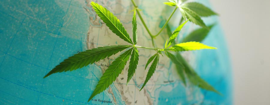 Which Countries Have Legalized Medical Marijuana?
