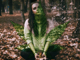 cannabis-anxiety-study