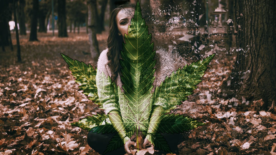 cannabis-anxiety-study