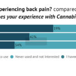cbd-back-pain-survey-results