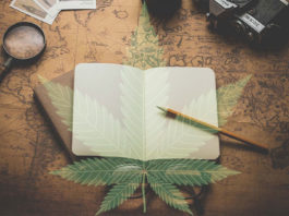 cbd-product-research-guide