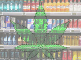 best cbd sports nutrition drinks