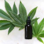What is CBD for pets and animals