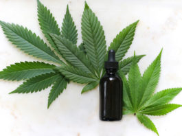 What is CBD for pets and animals