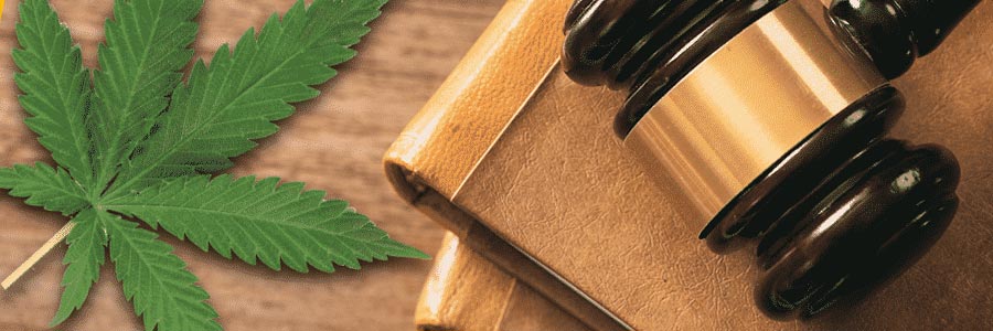 Legalities of CBD