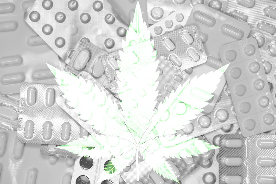 opioids-cannabis-chronic-pain-research