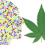opioids-cbd-comparison