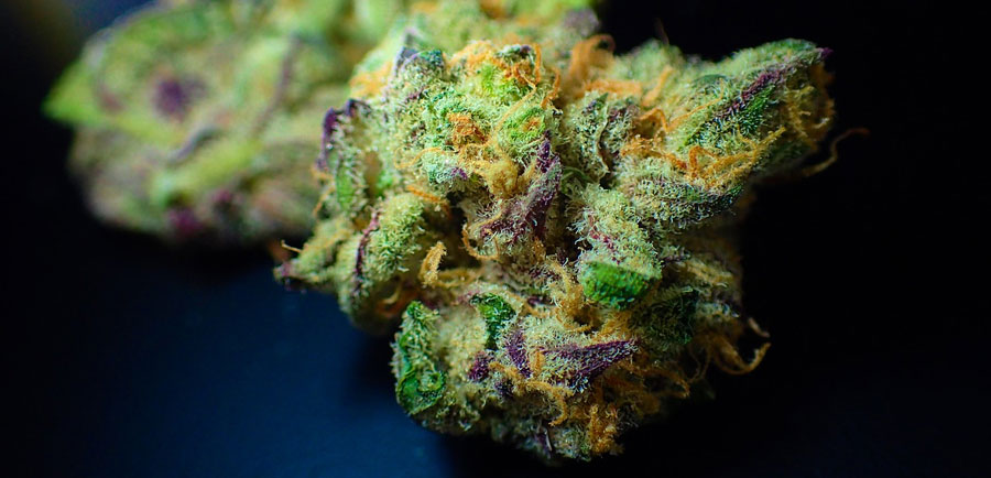 thc-thcp-cbd-cbdp-cannabis-cannabinoids