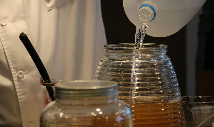 best-cbd-kombucha-beverages