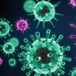 Endocannabinoid-System-and-Immunity