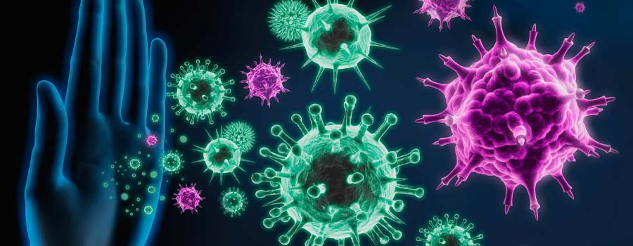 The Endocannabinoid System and the Immune System The Endocannabinoid System and the Immune System