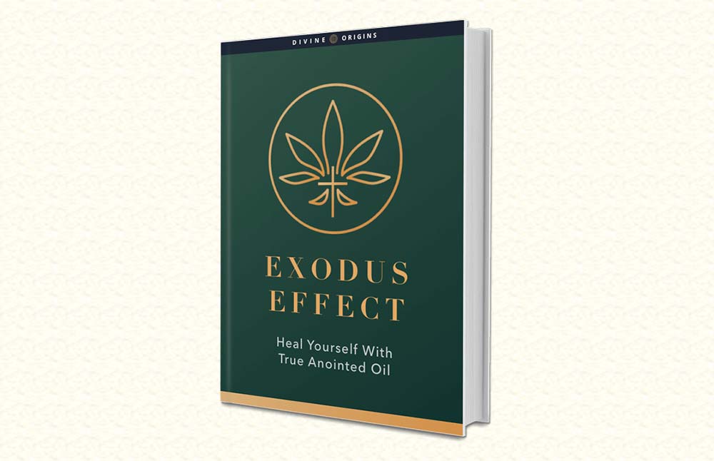 Exodus Effect: The True Holy Anointing Oil Cannabis Recipe Book