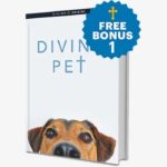 bonus-1