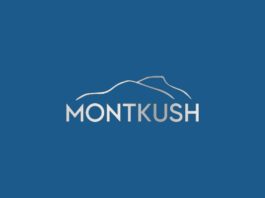 montkush-cbd